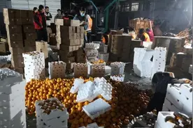 “涌泉”蜜橘背后涌动爱心接力！蜜橘店主：订单再多也会严把品质关图片