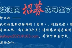 别再干了！元旦假期，沈阳曝光了这些人图片