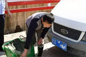 刑拘！男子为牟利非法运输国家二级保护野生动物“芝麻剑”图片