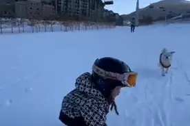 不会走路，却能滑雪！这个萌娃太厉害图片