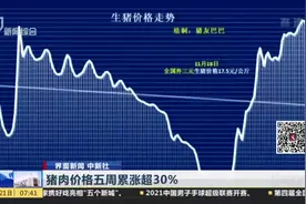 猪肉价格五周累涨超30%：专家预计12月份猪价或高位下滑视频封面
