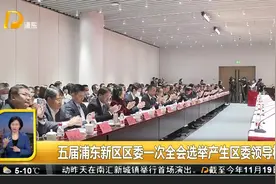 五届浦东新区区委一次全会选举产生区委领导机构视频封面