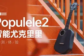 0基础1小时玩转Populele2智能尤克里里图片