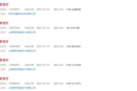“拼多多支付”商标注册成功 离支付生态闭环更近一步图片