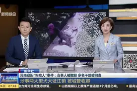 河南安阳“狗咬人”事件：当事人被撤职  多名干部被问责视频封面
