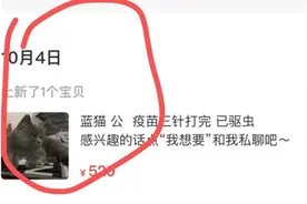 披着狼皮的爱心？被“朋友圈好友“领养的宠物猫第二天遭转卖图片