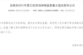 合肥市2021年第三批劳动保障监察重大违法案件公示图片