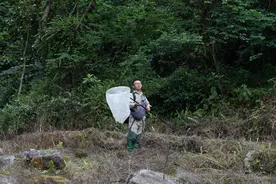 “蜻蜓王国”寻路人图片