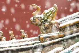 资本无序扩张：表现、风险、根源与应对图片