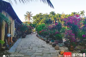 海南周刊丨万宁溪边村：花海悦目 书香养心图片