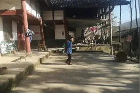 四川老人被野猪咬伤遭遇“生死劫”：ICU抢救21天，出院4个月才下床 起诉打猎者索赔15万图片
