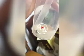 天天3·15丨“女子点外卖奶茶喝出蟑螂”后续，涉事店铺已辞退店长并手写道歉信图片