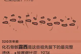200年来人类挖过的宝贝，看这一张图就够了图片