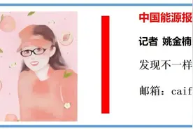 广东：“优先淘汰由燃煤改烧生物质的锅炉”图片