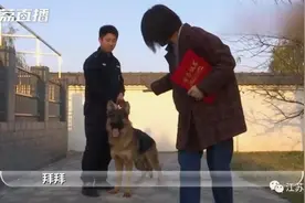 汪汪汪？南通女子自费培训爱犬后捐给警队：让它替我实现警察梦图片