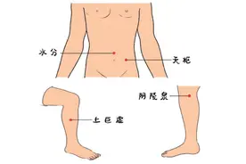 健康悦读｜|《中医帮你看急症——北京中医医院院长为您健康把脉》选登13：急性腹泻中医治图片