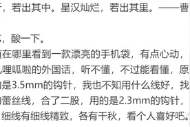 星空：好看又实用的钩针立体花纹手机袋（有编织图解）图片