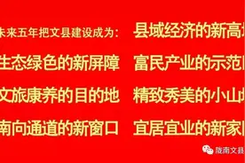 【@单身青年】相约七夕，团团喊你来脱单！——文县青年交友联谊活动火热报名中~图片