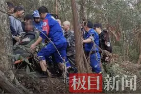 婺源一村民山中遭黑狗熊袭击受伤，救援人员：村民滚落下山后电话求救图片