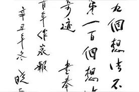晓雪：老树枝头别样红图片