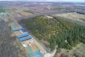 盗墓贼挖出汉文帝霸陵，《鬼吹灯》的盗墓情节难道都是真的？图片
