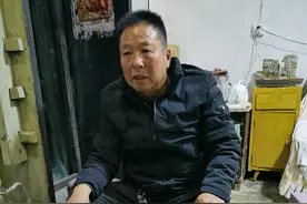 焦作化石爱好者在南太行山区采集化石数千枚，几乎全是远古海洋生物图片