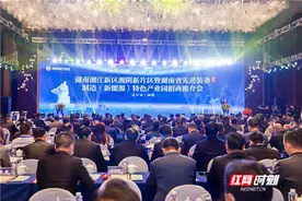 395亿元产业项目签约“引爆”湘江新区湘阴新片区图片