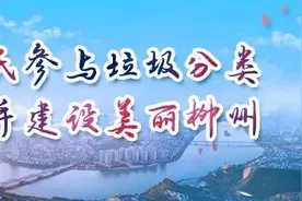 易错分类大解析！进来看看→图片