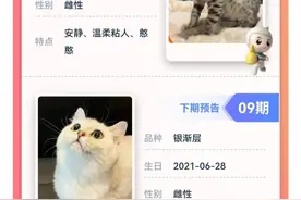 银行拿“万元活猫”当奖品何以引争议？| 新京报快评图片