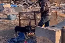 人拴狗常见，狗拴人呢？图片