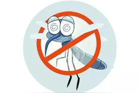 冬眠中的蚊子，还不赶紧下狠手灭了它图片