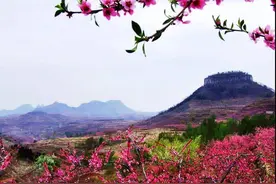 临沂市蒙阴县、费县成功创建山东省全域旅游示范区图片