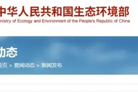 未批先建！生态环境部通报江苏某光伏项目执法典型案例图片