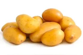 哪些土豆不能随便吃？图片
