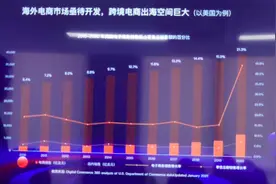亚马逊封禁中国卖家后 布局独立站成为平台卖家迫切需求图片