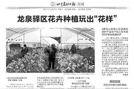 龙泉驿区花卉种植玩出“花样”图片