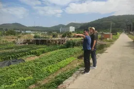 深圳“第一书记”助力汕头南澳开启乡村振兴新征程图片