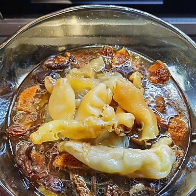 干香菇花胶 2026年香菇焖花胶