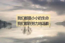 我们都在努力的活着图片