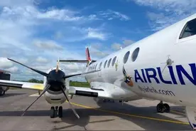 南非航空一飞机与大鸟相撞：窗户被打碎，舱内有羽毛图片