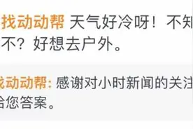 记者帮 | 龙王山下雪了！周末能看到雾凇吗？小时记者咨询了专业户外领队图片