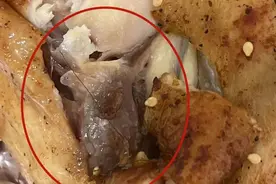 烤鸡外卖吃出头发！商家：爱哪告哪告！高新区回复图片