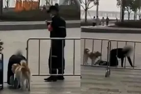 网曝深圳一女子和狗同拴一根绳跪地爬行，边爬边学狗叫，警方：已找到女子问询图片