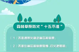 森林草原防火安全知识，你一定要了解图片