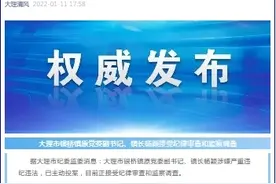 云南大理市银桥镇原党委副书记、镇长杨颖接受审查监察图片