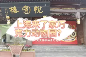巧克力做的动物园！上海的这家巧克力博物馆，还没正式开业就成了打卡网红地图片
