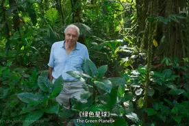 《绿色星球》：战场般的热带雨林，它们的生存招数你想不到图片