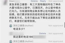 猫咪被困封控大楼，深圳卫健委再现霸气回复：“电话多少？”图片