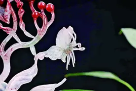 人与玉的相遇图片