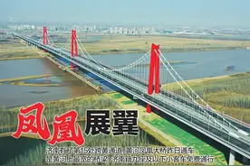 黄河上最宽！济南黄河凤凰大桥通车图片